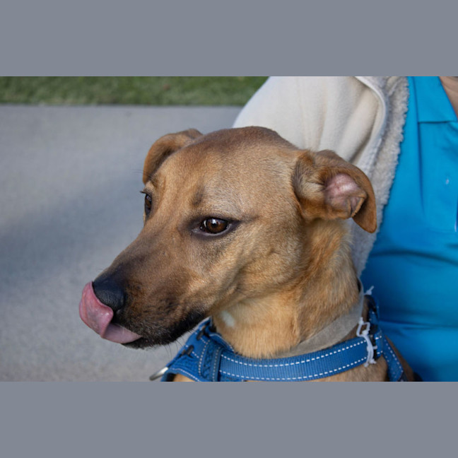 Photo of Beckham