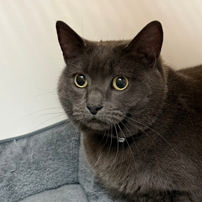 Photo of Missy
