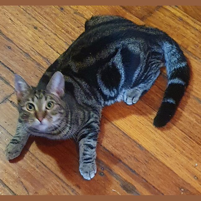 Photo of Shanti