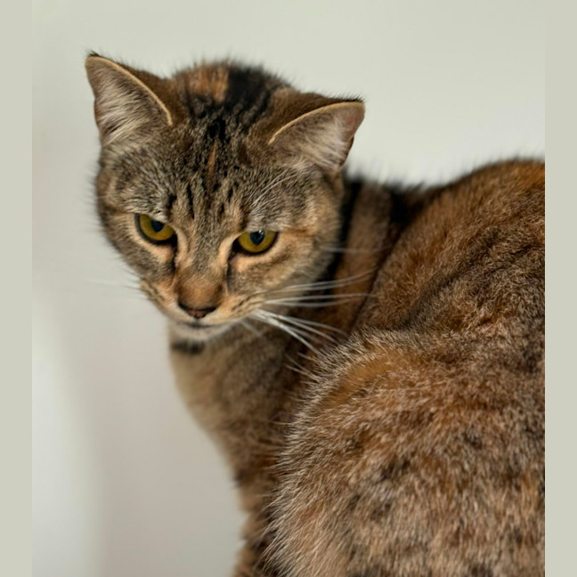 Photo of Sally Field (9004)