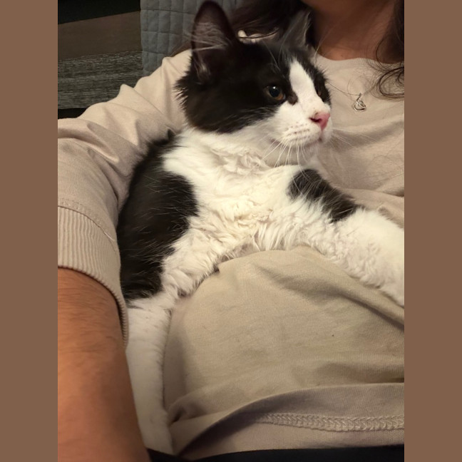Photo of Hugo
