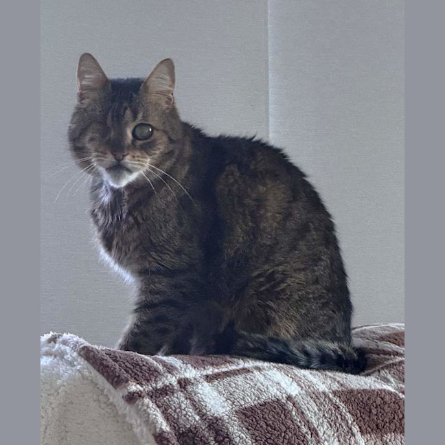 Photo of Gunther