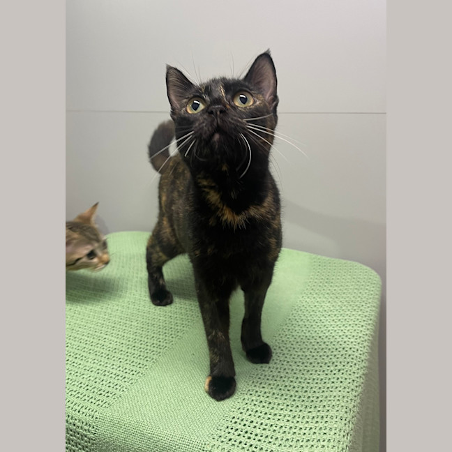 Photo of Dolly Parton