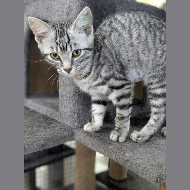 Photo of 🍰 Jam 5775 🍰