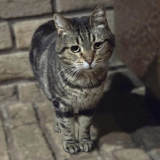 Photo of 7402   Abigail