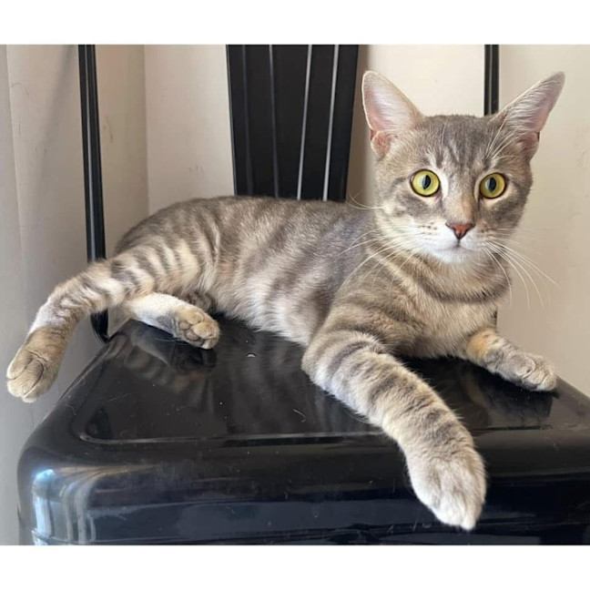 Photo of 11598   Hugo