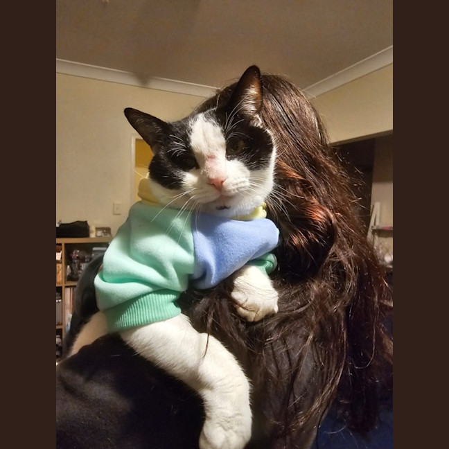 Photo of Shrimp