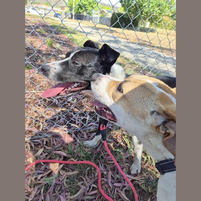 Photo of Kenny! 🤍🖤