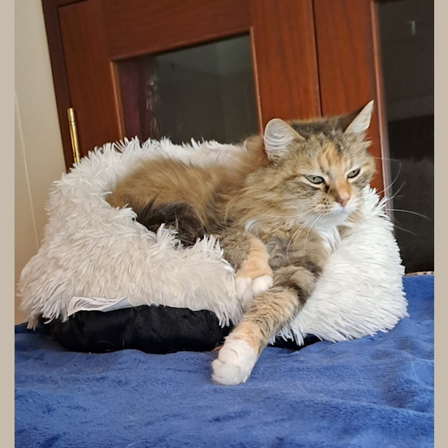 Photo of Hannah