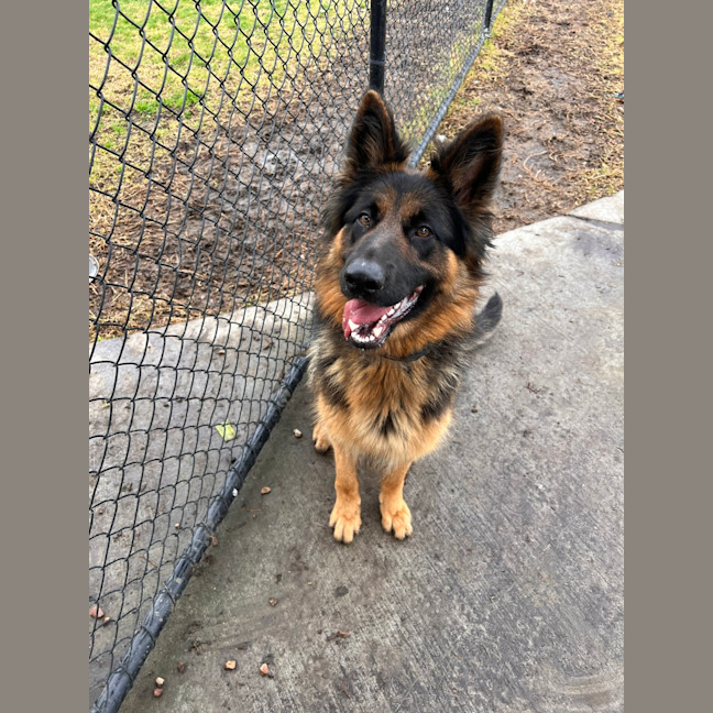 Photo of Lucy
