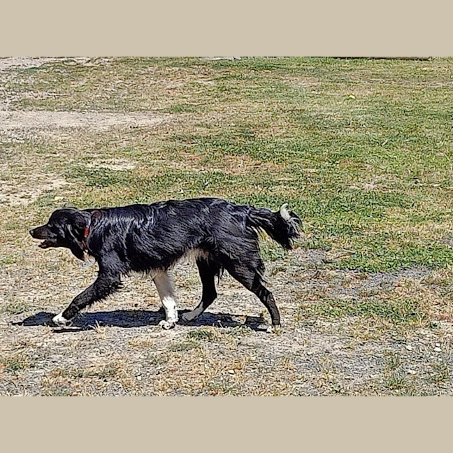 Photo of Finn Quinell