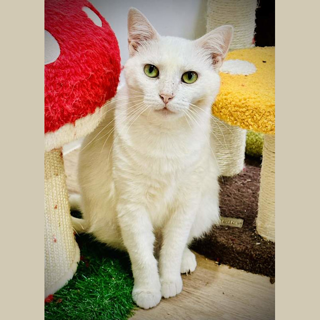 Photo of Lily