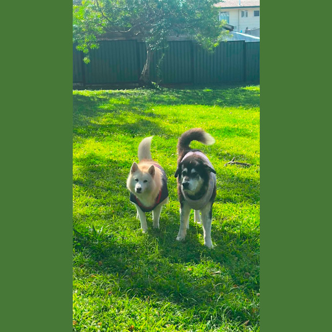 Photo of Kiara And Komet