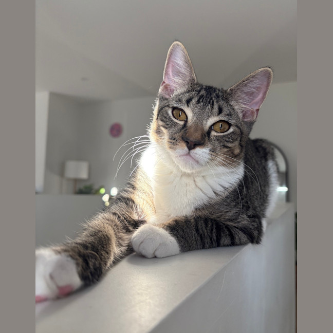 Photo of Freddie