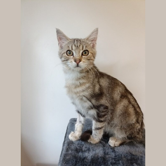 Photo of Jasper