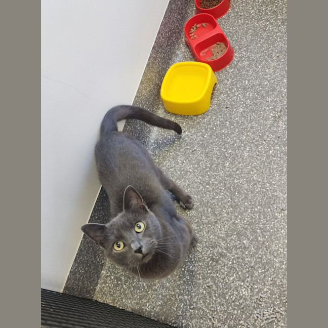 Photo of Spud And Socks