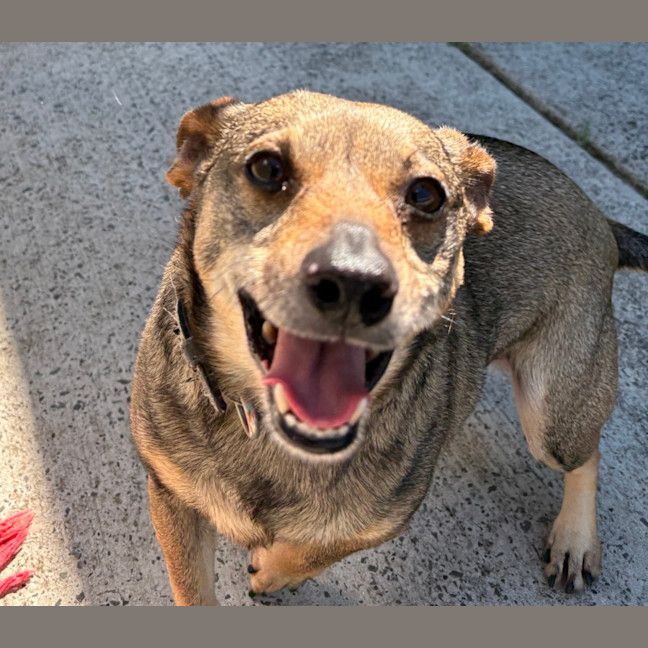Photo of Olive