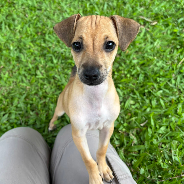 Photo of Millie