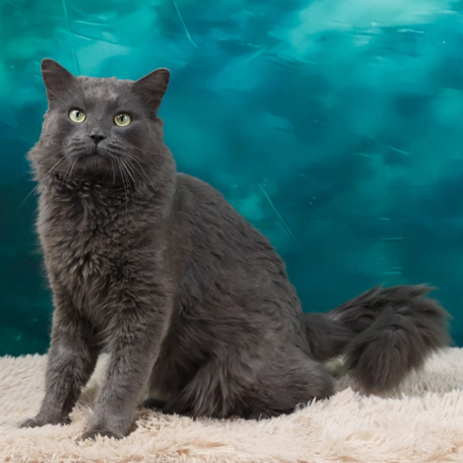Photo of Franklyn