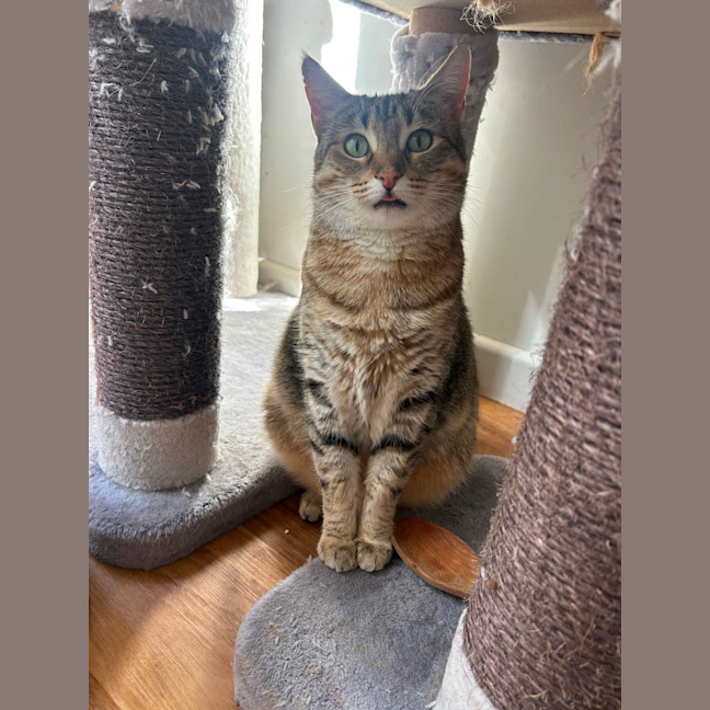 Photo of Esmerelda (Essie) 