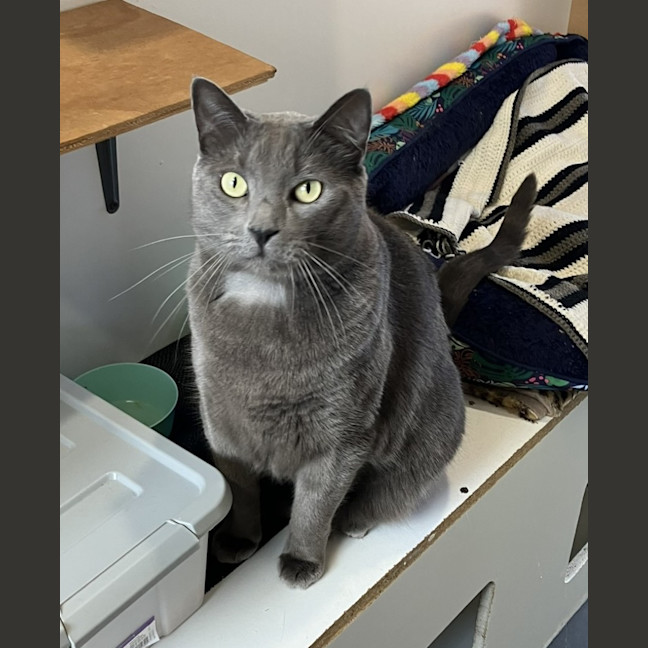Photo of Norbert