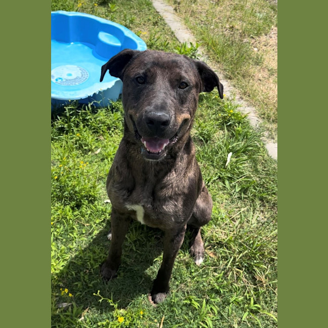 Photo of Boof (4848)