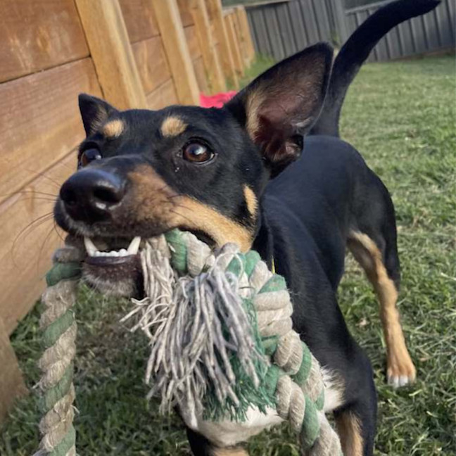 Photo of Reggie