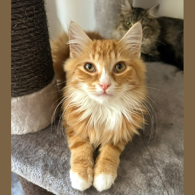 Photo of Jamie ❤️