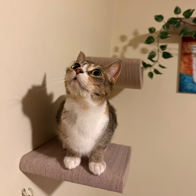 Photo of Rosie