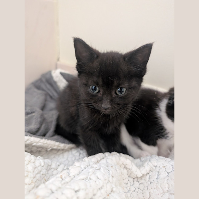 Photo of Zoe