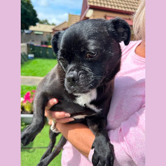 Photo of Christopher 