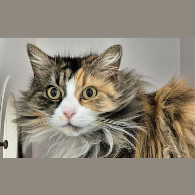 Photo of Milly