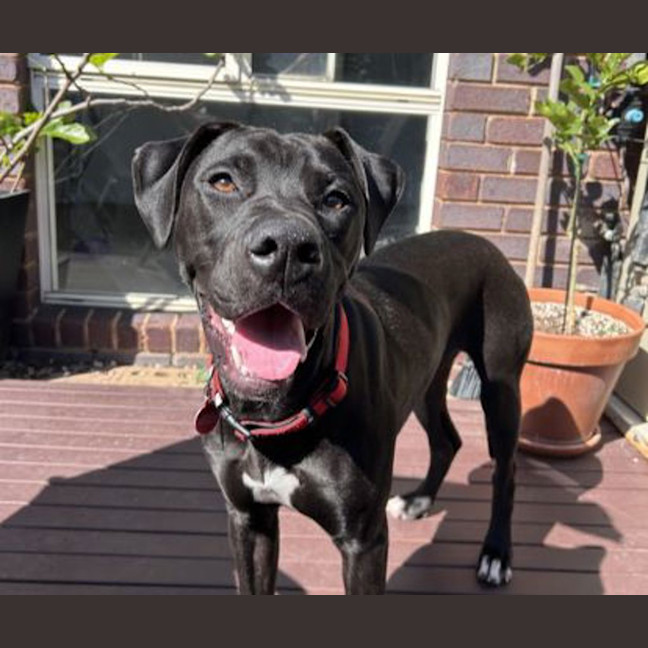 Photo of Abbie