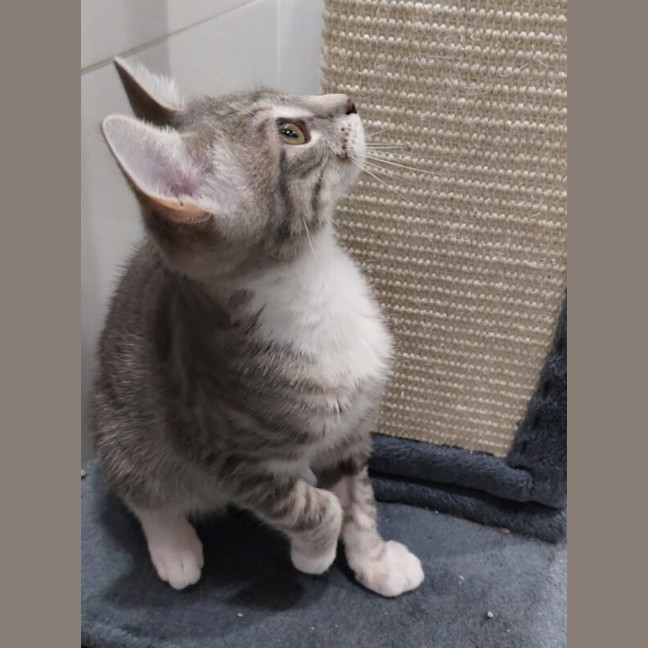 Photo of Zara And Zulu