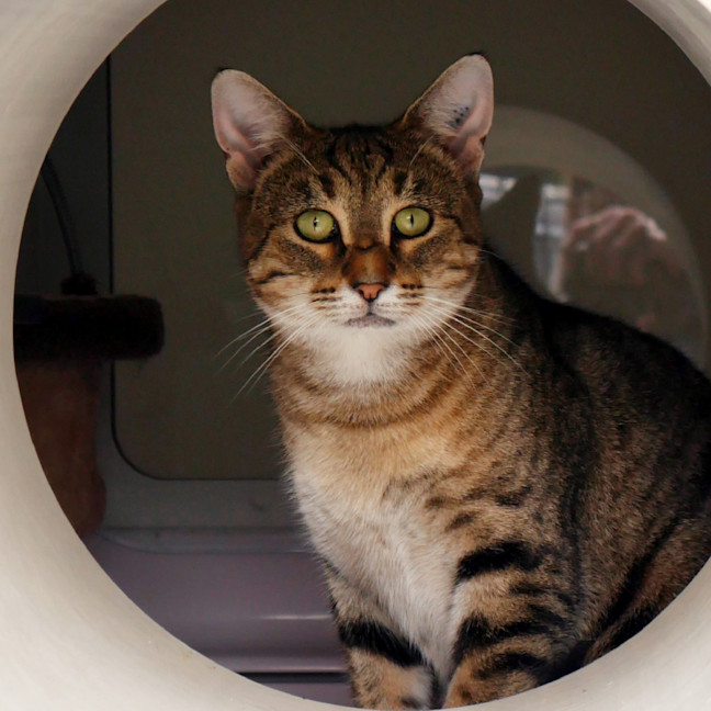 Photo of Lillibet Sua014213