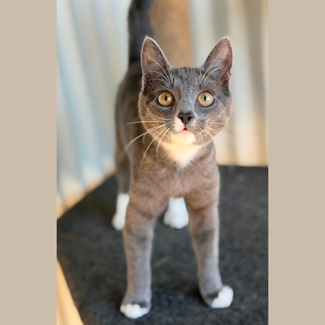Photo of Nora