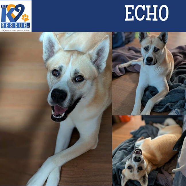 Photo of Echo