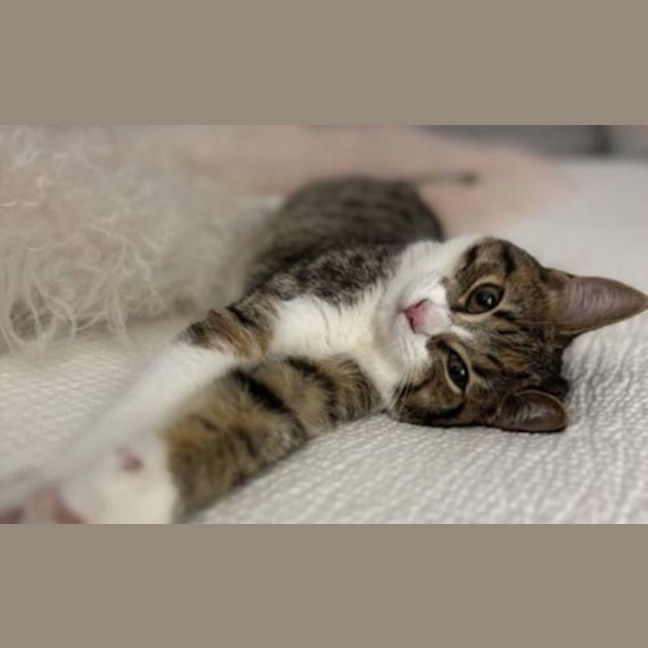 Photo of Ramona