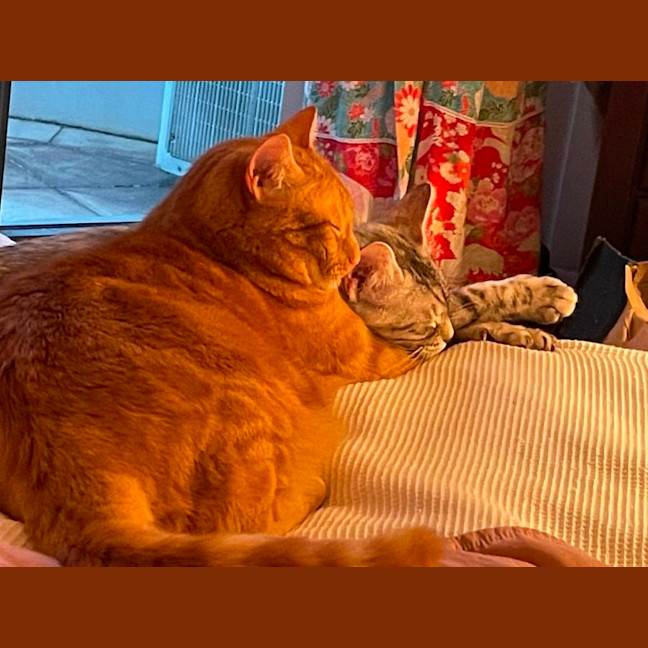 Photo of Rufus And Pandora