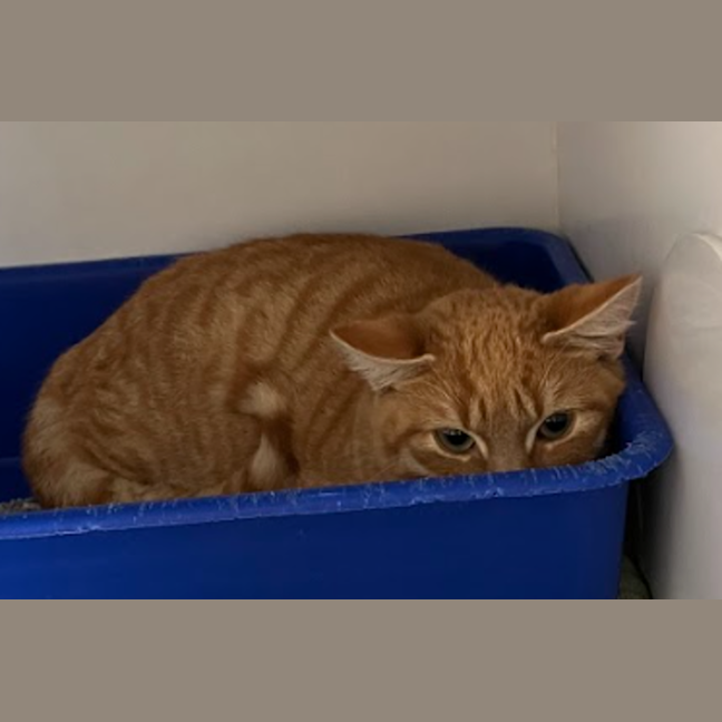 Photo of Monty