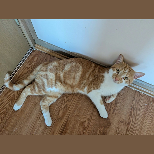 Photo of Miles