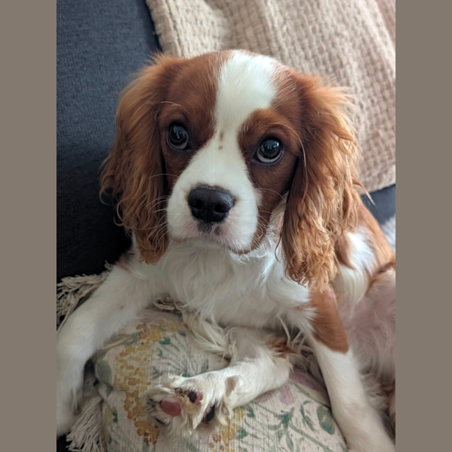 Photo of Reggie
