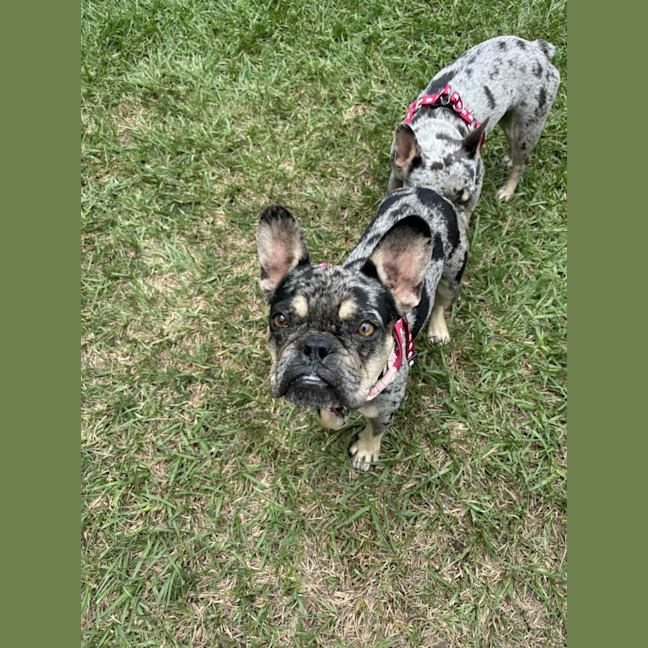 Photo of Cleo