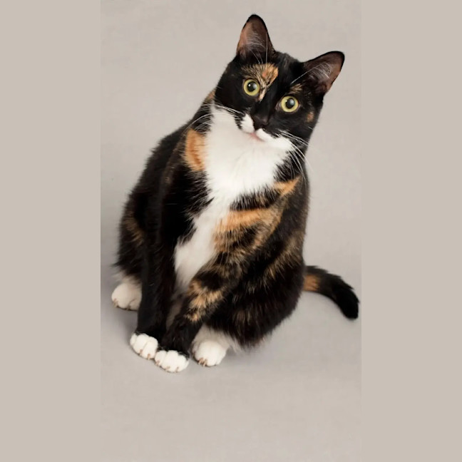 Photo of Millie