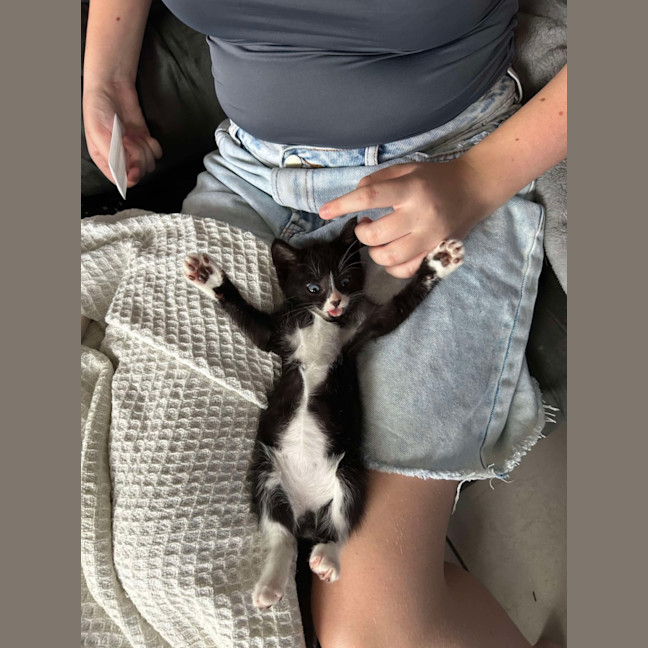 Photo of Gizmo