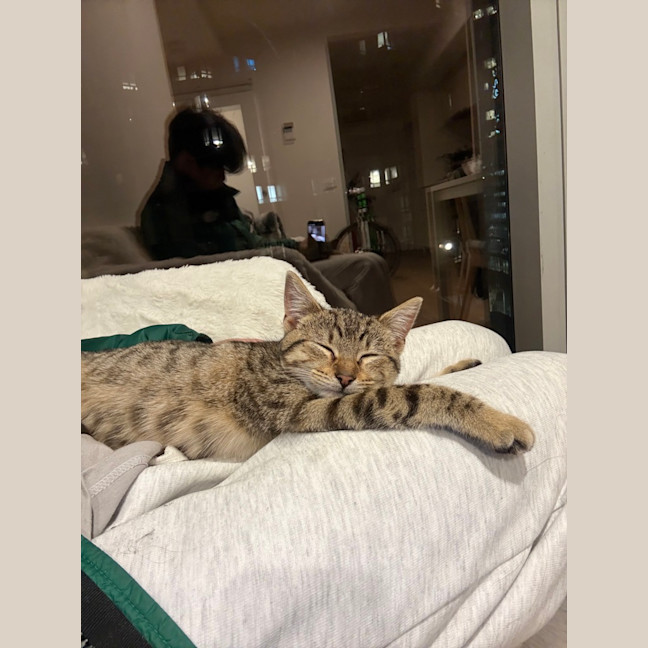 Photo of Elena