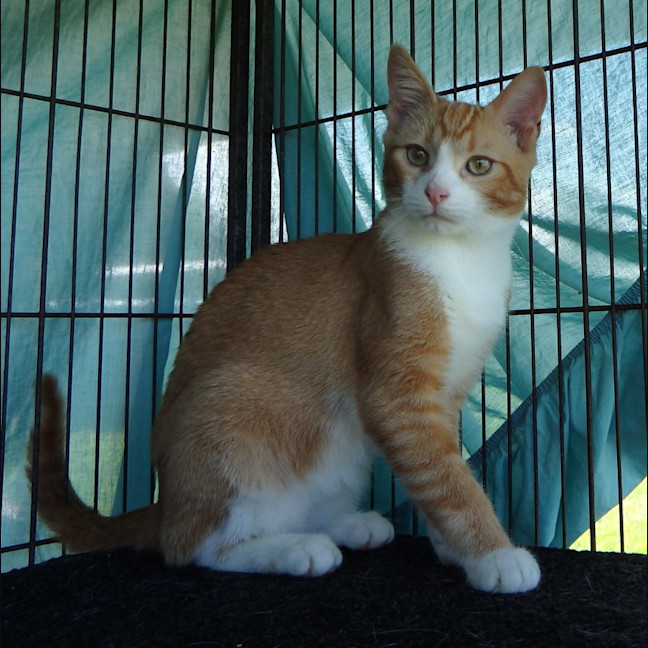 Photo of Brooke And Bruce