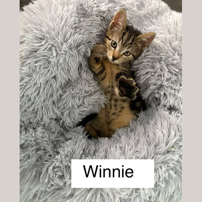 Photo of Winnie