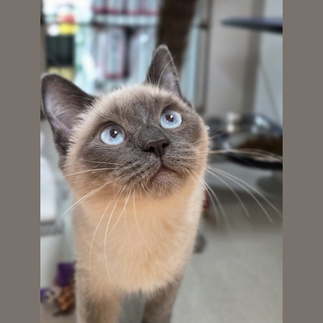 Photo of Tobias