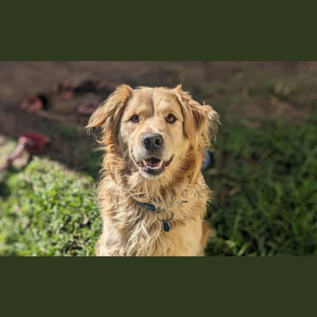 Photo of Melo
